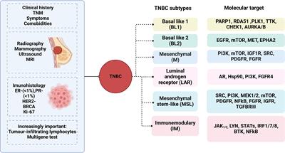 Advancements and challenges in triple-negative breast cancer: a comprehensive review of therapeutic and diagnostic strategies